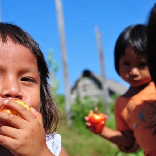 niños indigenas