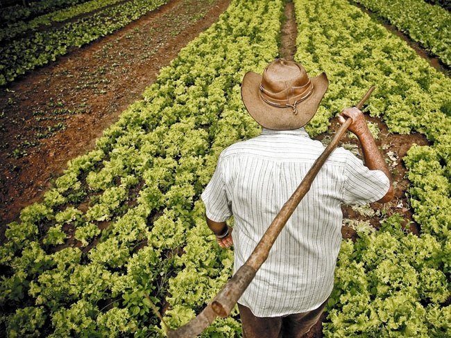 agricultor-sostenible agricultor-sostenible