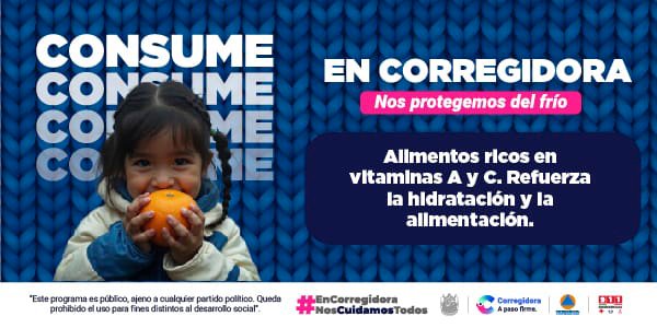 Banner-Carrusel-Dic-2025 v1